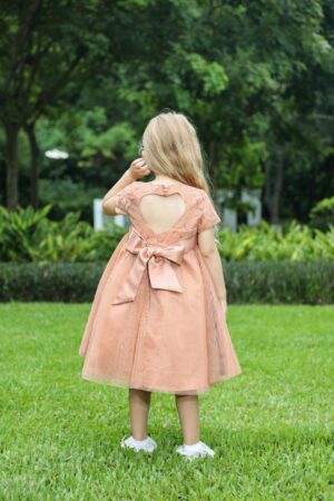 Long Elegant lace Tulle Dress with belt for Girls